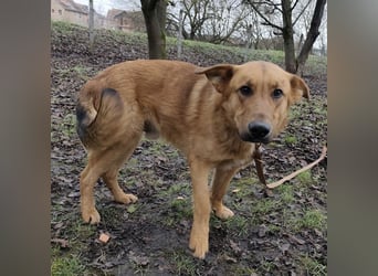 Morty ein wundervolles Wesen