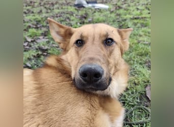 Morty ein wundervolles Wesen