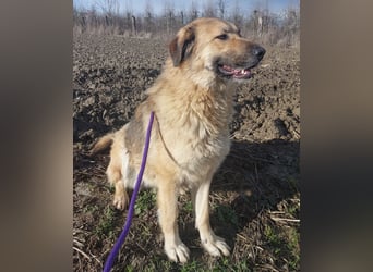 Lotta ein wundervolles Wesen