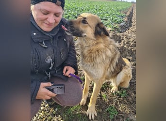 Lotta ein wundervolles Wesen