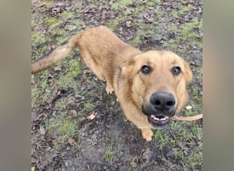 Morty ein wundervolles Wesen