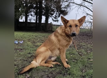 Morty ein wundervolles Wesen