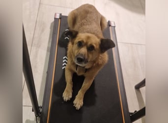 Frenki ein kleiner Schatz