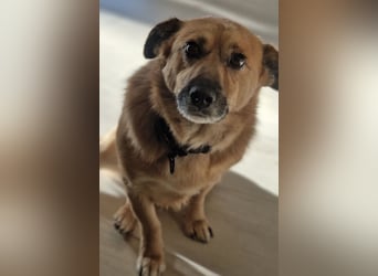 Frenki ein kleiner Schatz