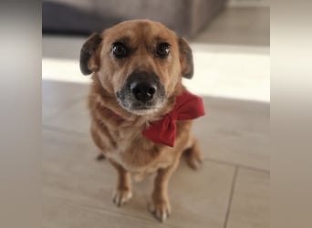 Frenki ein kleiner Schatz