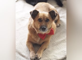 Frenki ein kleiner Schatz