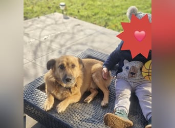 Frenki ein kleiner Schatz