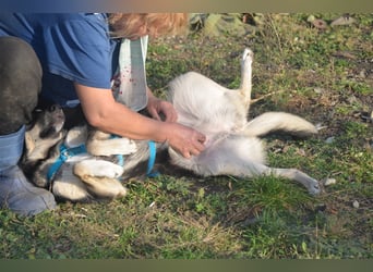 MYRA sehnt sich nach einer lieben Familie