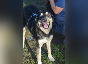 MYRA sehnt sich nach einer lieben Familie