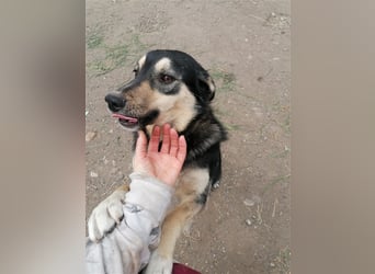 MYRA sehnt sich nach einer lieben Familie