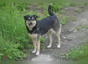 MYRA sehnt sich nach einer lieben Familie