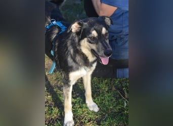 MYRA sehnt sich nach einer lieben Familie