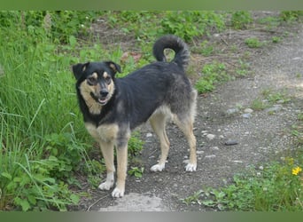 MYRA sehnt sich nach einer lieben Familie