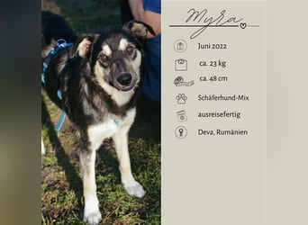 MYRA sehnt sich nach einer lieben Familie