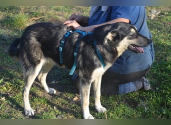 MYRA sehnt sich nach einer lieben Familie