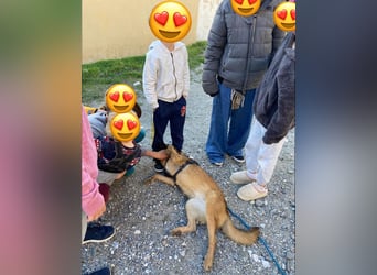 Rumba wünscht sich ihre eigene Familie