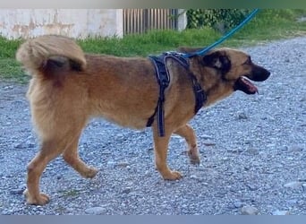Rumba wünscht sich ihre eigene Familie