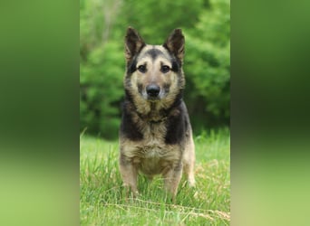 FILYA Einfach ein toller Kerl (Ukraine)
