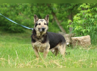 FILYA Einfach ein toller Kerl (Ukraine)
