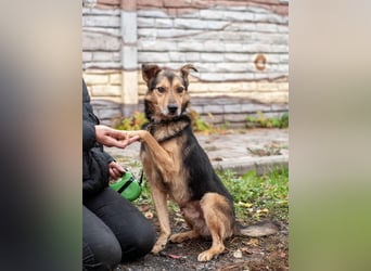 Edwin - Neugierige & menschenbezogene Knutschkugel (Ukraine)