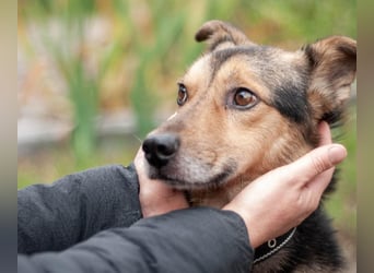 Edwin - Neugierige & menschenbezogene Knutschkugel (Ukraine)
