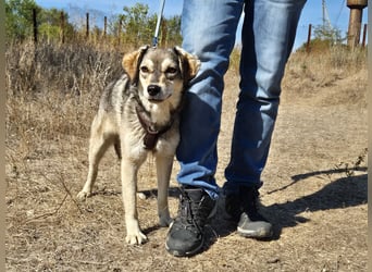 Mayli sucht ein liebevolles Zuhause