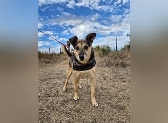 Lieber Terry sucht seine Menschen