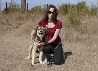 Mayli sucht ein liebevolles Zuhause