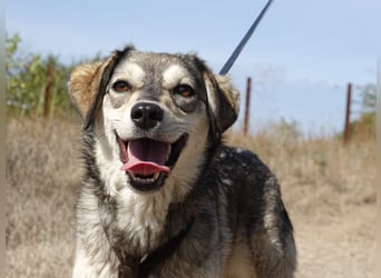 Mayli sucht ein liebevolles Zuhause