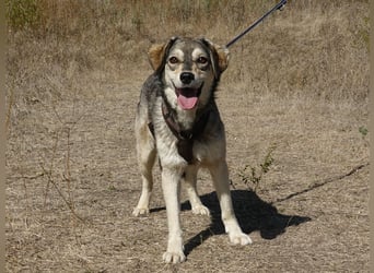 Mayli sucht ein liebevolles Zuhause