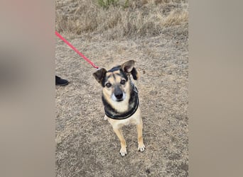 Lieber Terry sucht seine Menschen