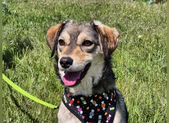 Mayli sucht ein liebevolles Zuhause