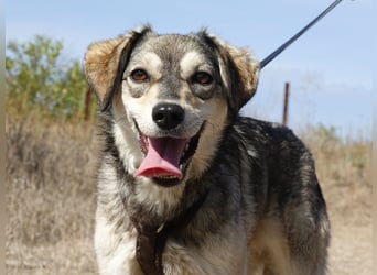 Mayli sucht ein liebevolles Zuhause