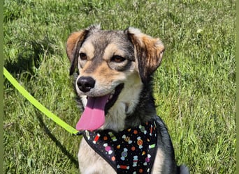 Mayli sucht ein liebevolles Zuhause