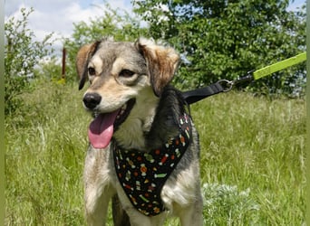 Mayli sucht ein liebevolles Zuhause