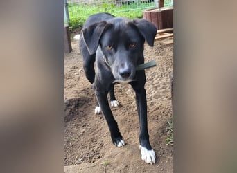 Black is beautiful JoeJoe