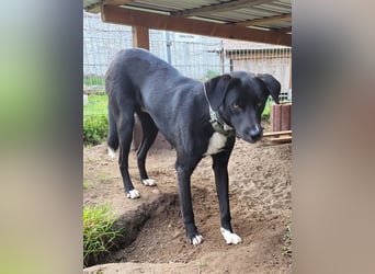 Black is beautiful JoeJoe