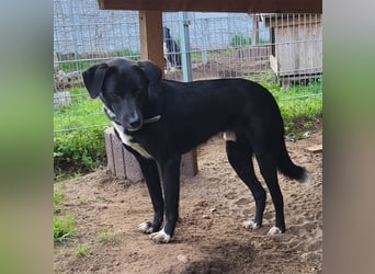 Black is beautiful JoeJoe