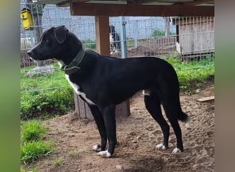 Black is beautiful JoeJoe