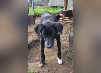 Black is beautiful JoeJoe