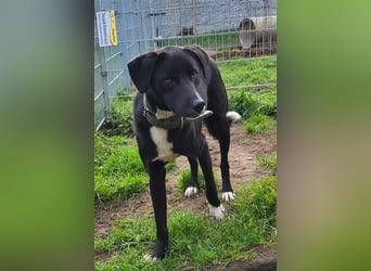 Black is beautiful JoeJoe