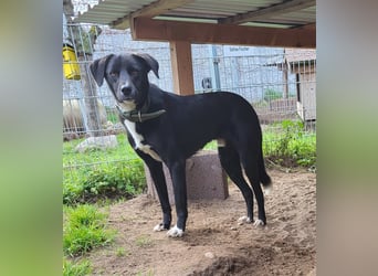 Black is beautiful JoeJoe