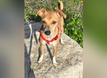 Mammola - ein sanftes Pflänzchen, die aufblühen möchte