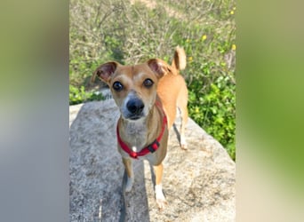 Mammola - ein sanftes Pflänzchen, die aufblühen möchte