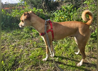 Mammola - ein sanftes Pflänzchen, die aufblühen möchte