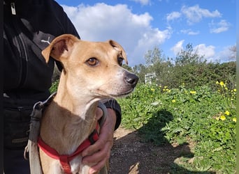 Mammola - ein sanftes Pflänzchen, die aufblühen möchte