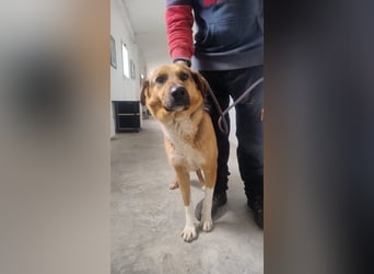 Veronica wartet immer noch geduldig