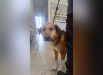 Veronica wartet immer noch geduldig