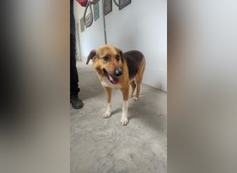 Veronica wartet immer noch geduldig