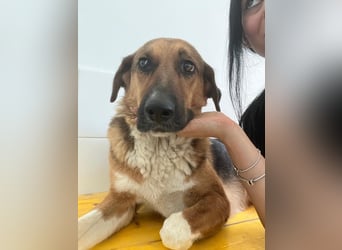 Veronica wartet immer noch geduldig